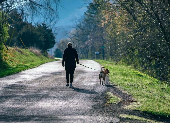 dog walking
